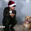 Watch NY Shelter Dogs Get Their Minds Blown By Magic Tricks